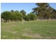 31 Bangalo Close, Busselton WA 6280