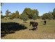 31 Bangalo Close, Busselton WA 6280
