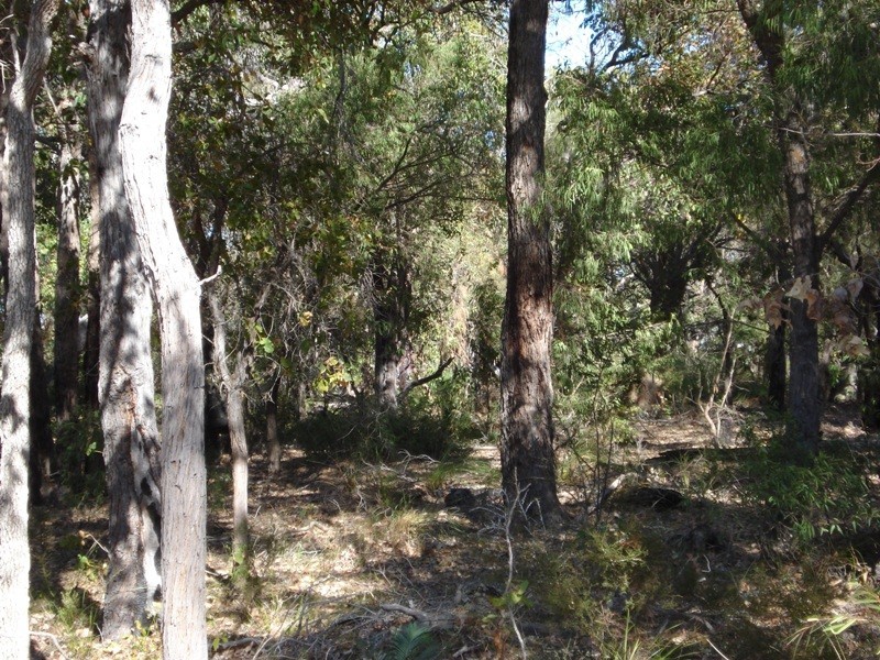 Lot 8 Cowslip Place, Yallingup WA 6282