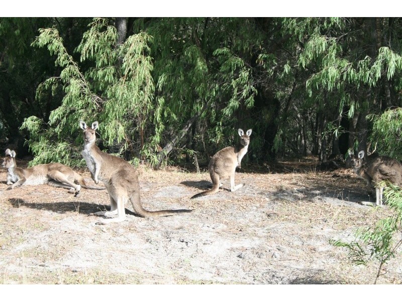 Lot 8 Cowslip Place, Yallingup WA 6282