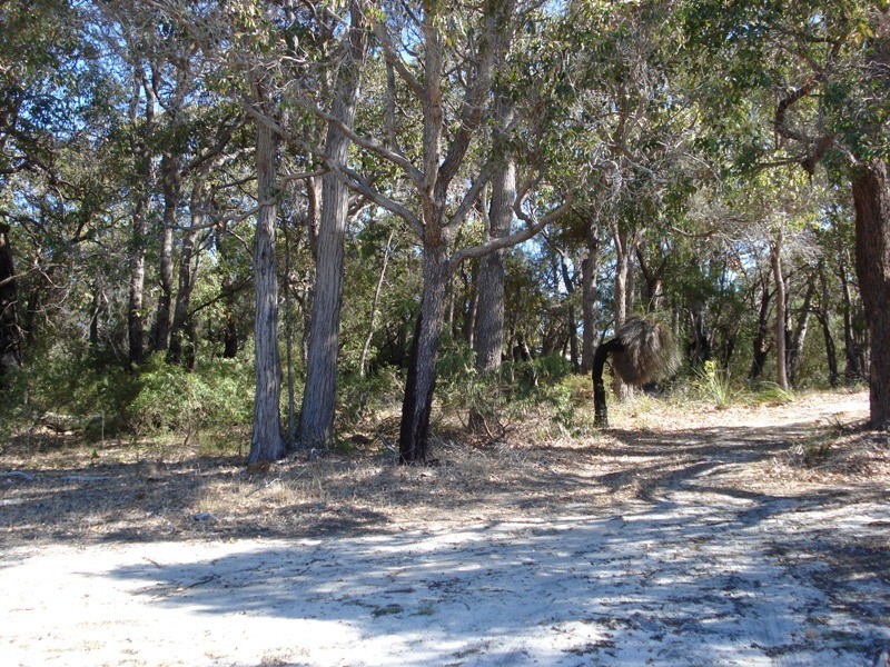 Lot 8 Cowslip Place, Yallingup WA 6282