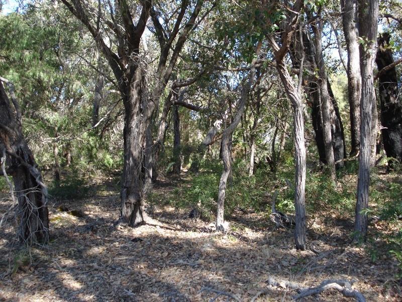 Lot 8 Cowslip Place, Yallingup WA 6282