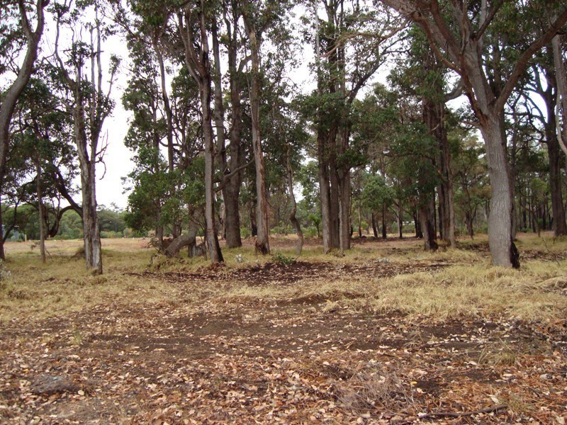 6 Malbec Street, Cowaramup WA 6284