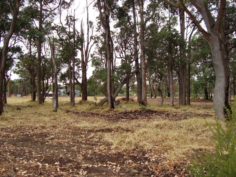 6 Malbec Street, Cowaramup WA 6284