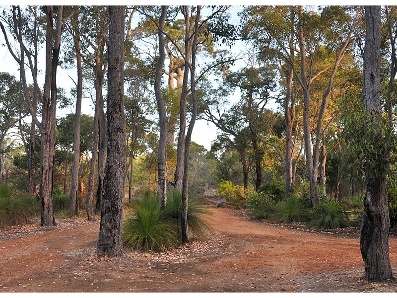 65 Hayes Road, Yallingup Siding WA 6282