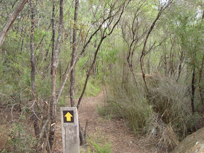 16 Riverslea Drive, Margaret River WA 6285