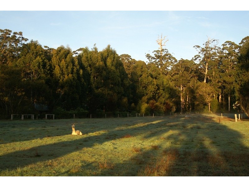 12928 Vasse Highway, Pemberton WA 6260