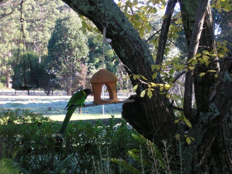 12928 Vasse Highway, Pemberton WA 6260