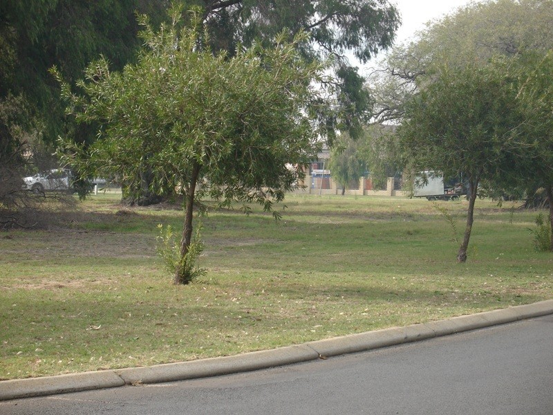 Lot 130-133, Lots Cook Street, Busselton WA 6280