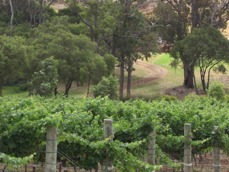 Margaret River WA 6285