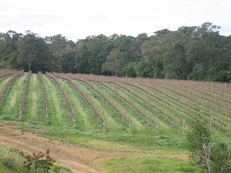 Margaret River WA 6285