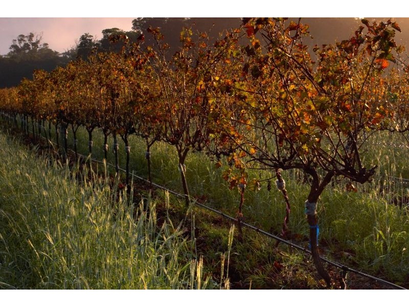 Margaret River WA 6285