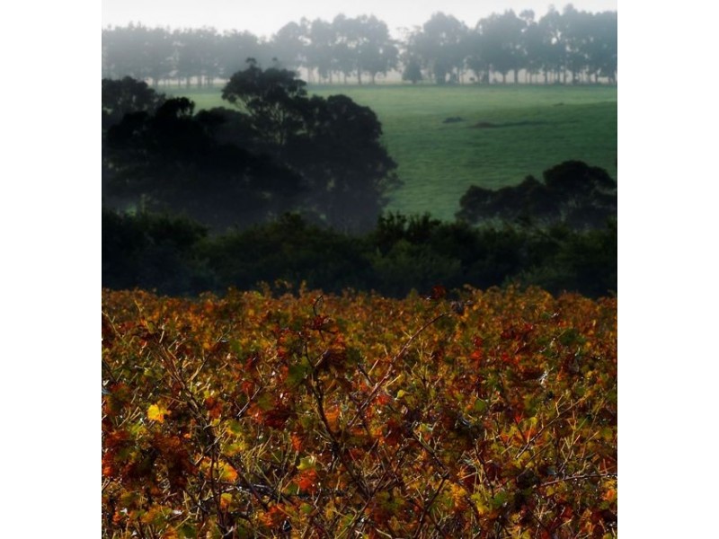 Margaret River WA 6285