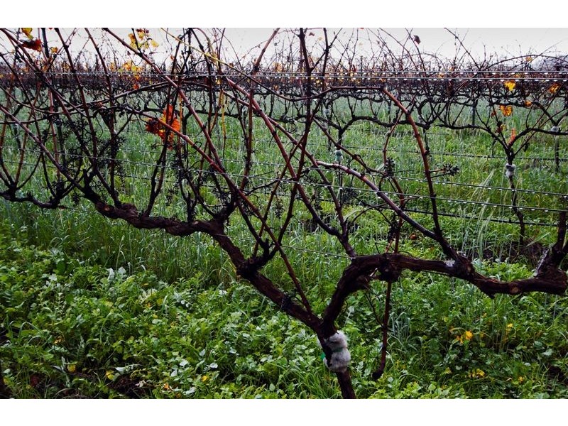 Margaret River WA 6285