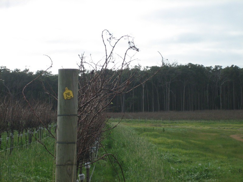 Margaret River WA 6285