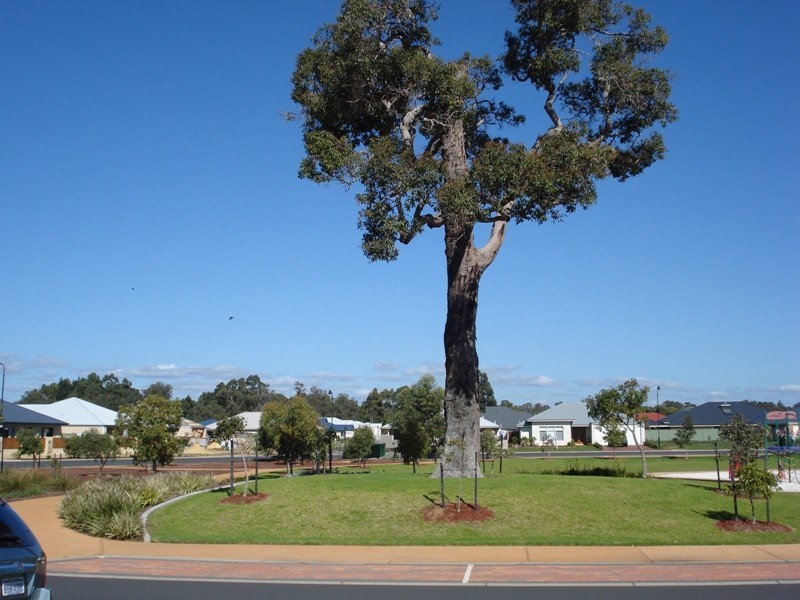 18 Wakeham Circle, Vasse WA 6280