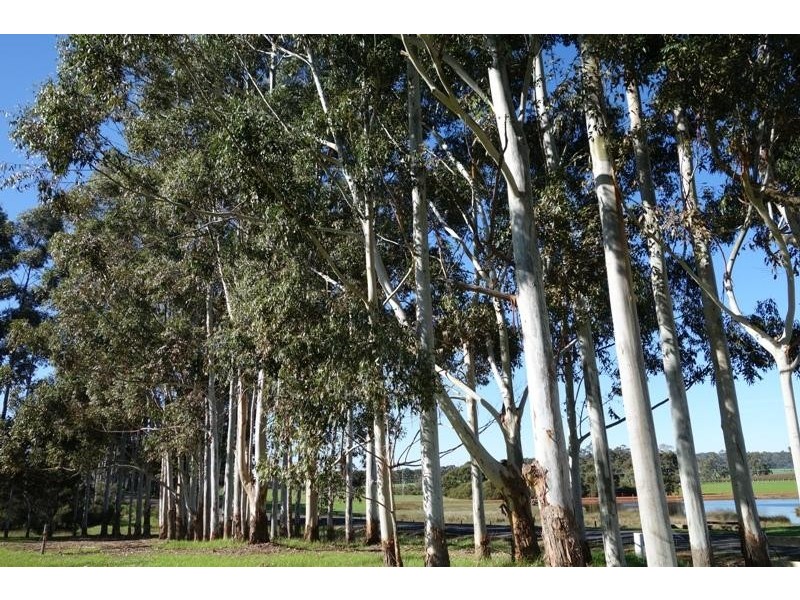 Cowaramup WA 6284