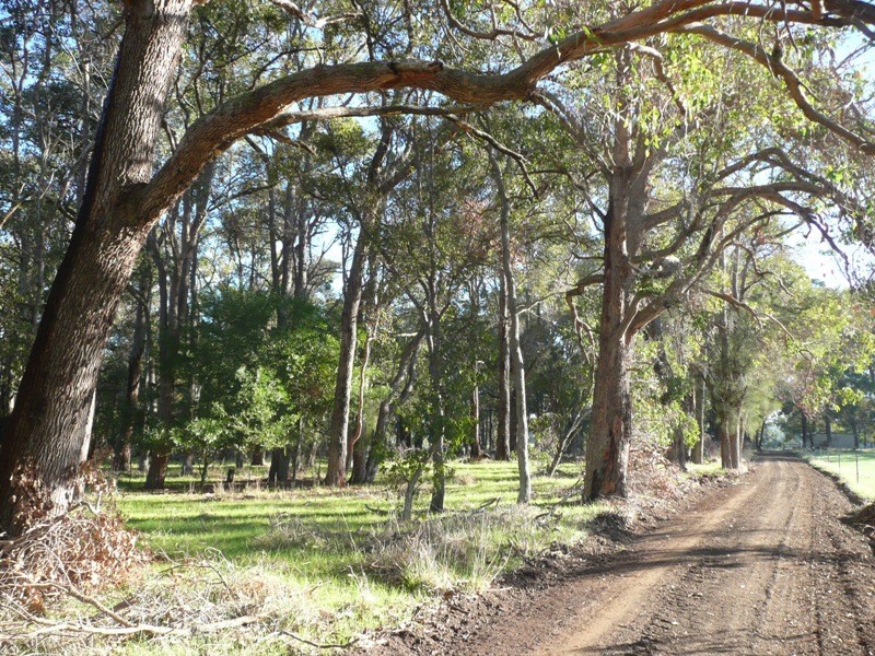 Yelverton WA 6280
