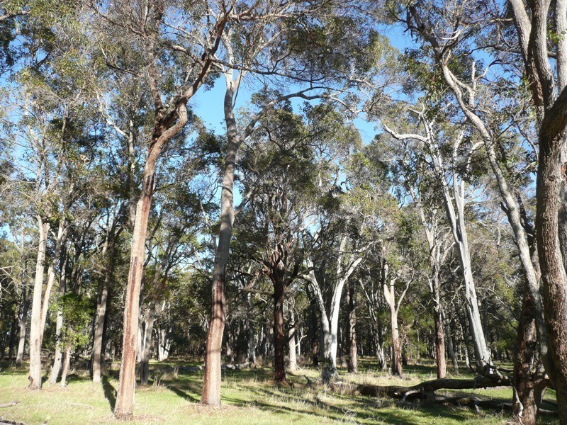 Yelverton WA 6280