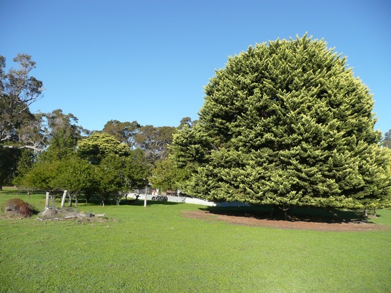 Yelverton WA 6280