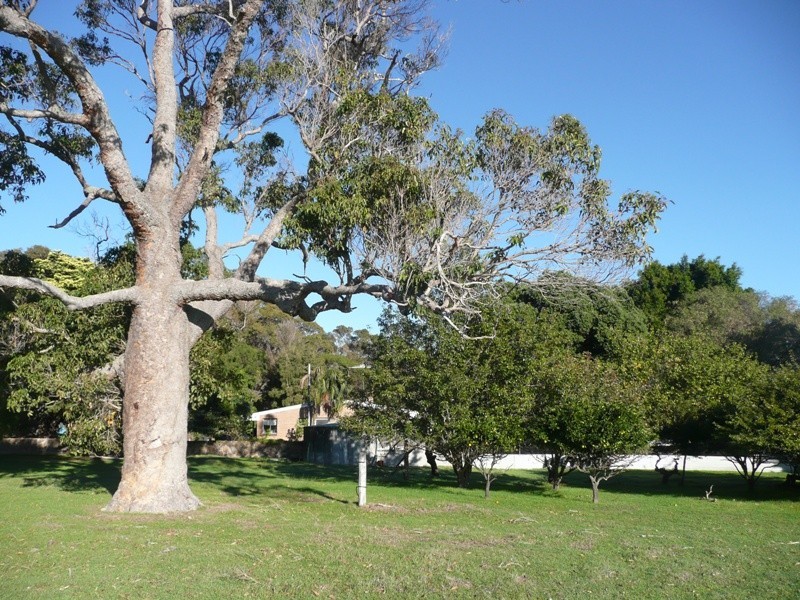 Yelverton WA 6280
