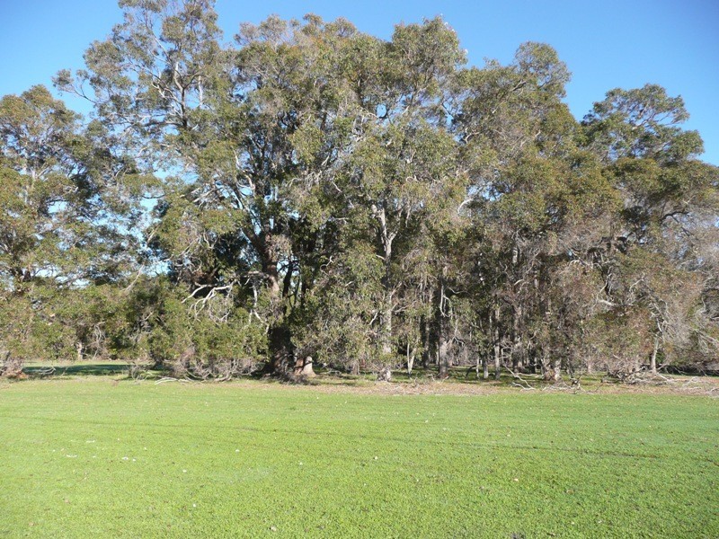 Yelverton WA 6280