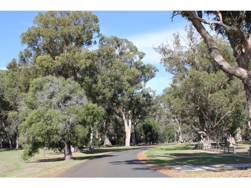 127 Old Timber Court, Reinscourt WA 6280