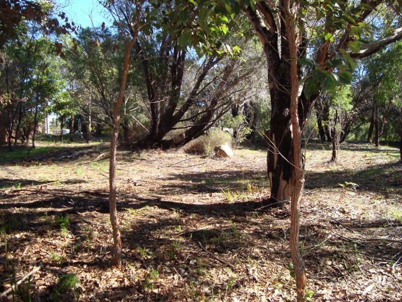 Lot 135, 207 Blackwood Avenue, Augusta WA 6290