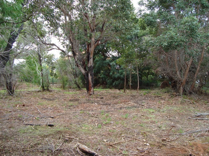 Lot 135, 207 Blackwood Avenue, Augusta WA 6290