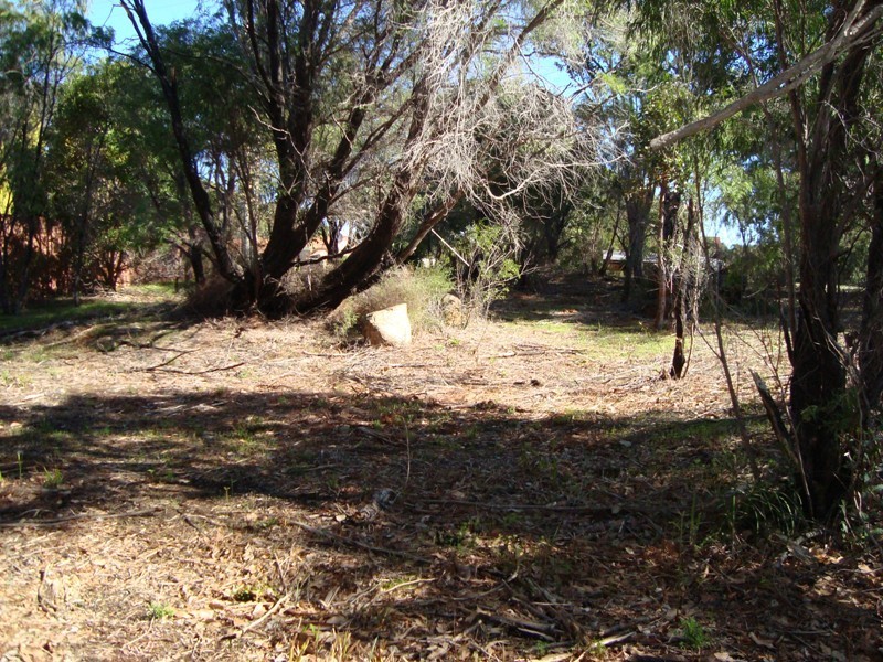 Lot 135, 207 Blackwood Avenue, Augusta WA 6290