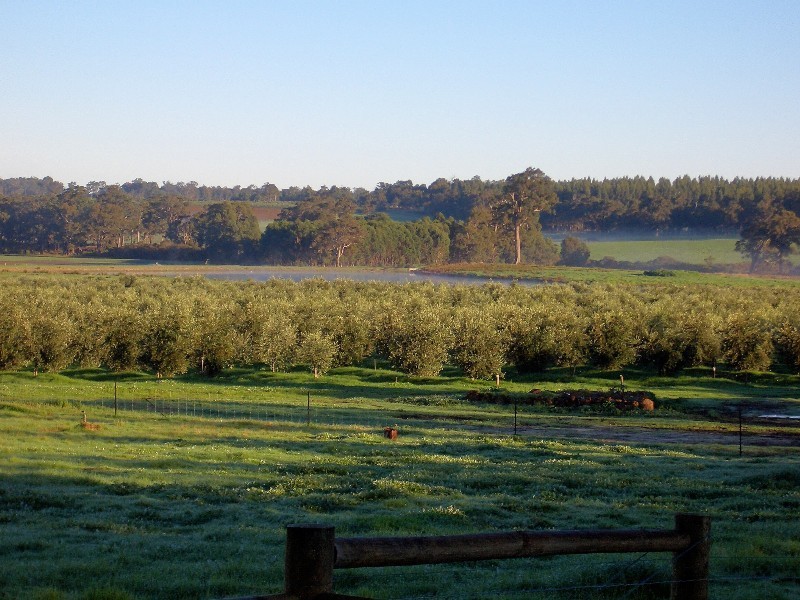 195 Crozier Road Rosa Brook, Margaret River WA 6285