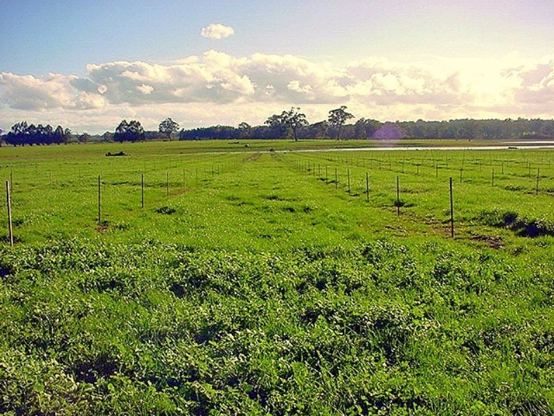 195 Crozier Road Rosa Brook, Margaret River WA 6285