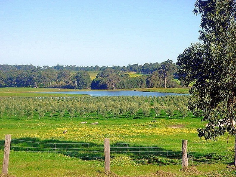 195 Crozier Road Rosa Brook, Margaret River WA 6285