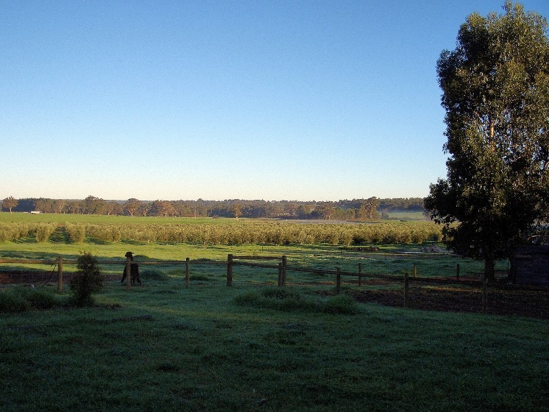 195 Crozier Road Rosa Brook, Margaret River WA 6285