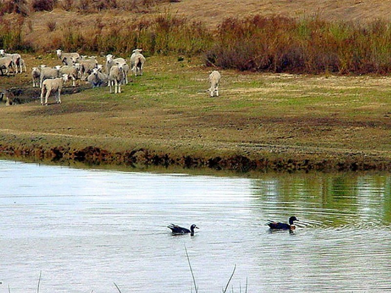 195 Crozier Road Rosa Brook, Margaret River WA 6285