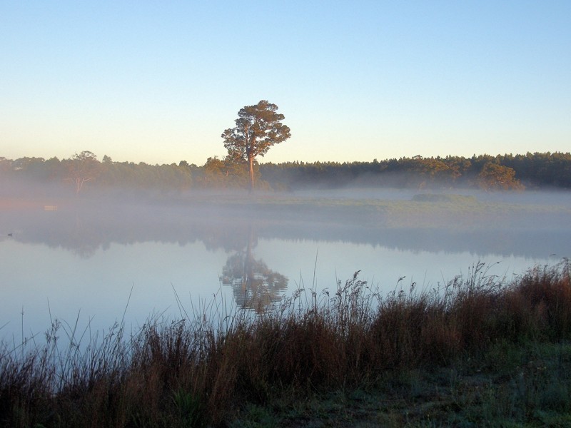 195 Crozier Road Rosa Brook, Margaret River WA 6285