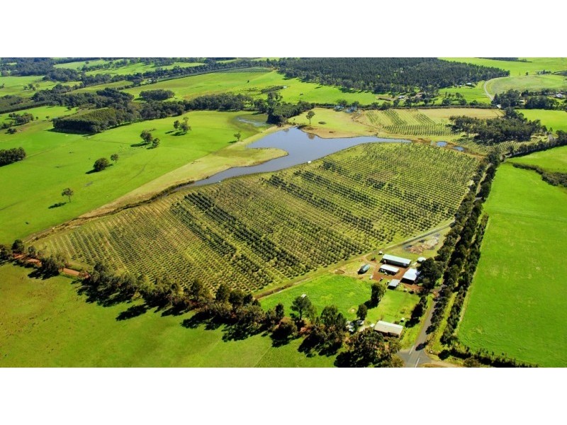 195 Crozier Road Rosa Brook, Margaret River WA 6285