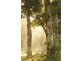 Lot 709, 29 Burke Circle, Cowaramup WA 6284