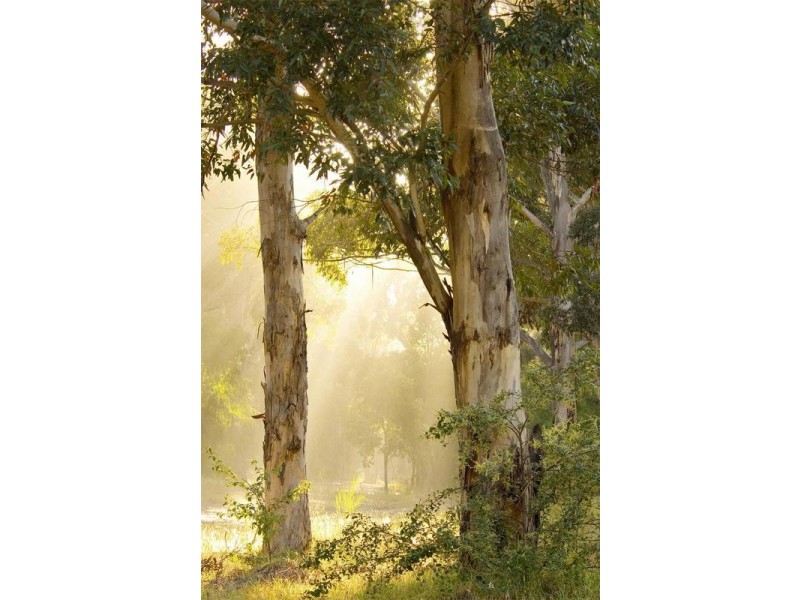 Lot 709, 29 Burke Circle, Cowaramup WA 6284