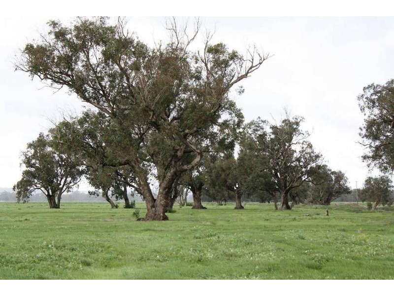 Yoongarillup WA 6280