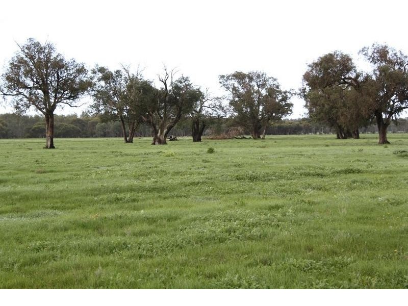 Yoongarillup WA 6280