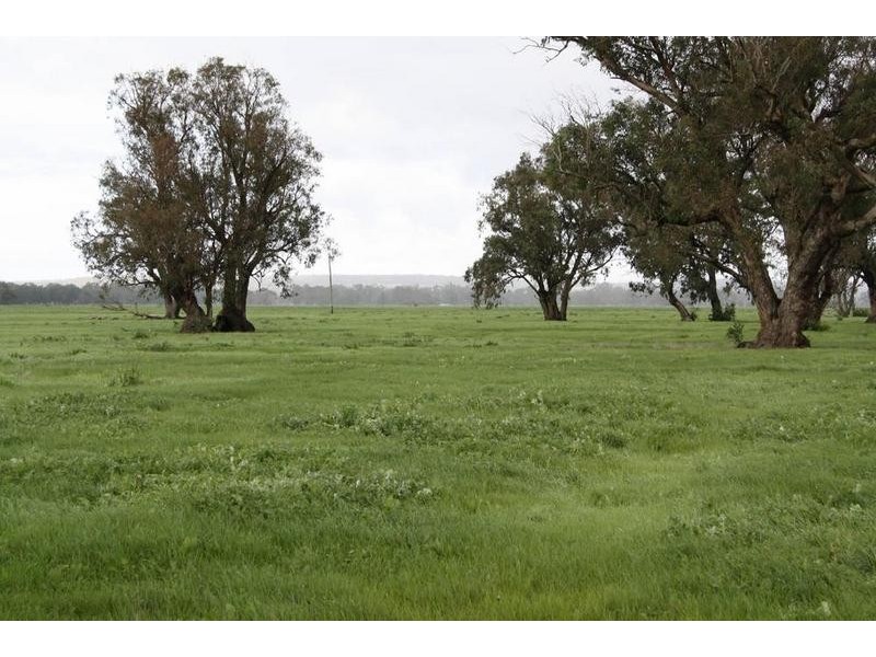 Yoongarillup WA 6280