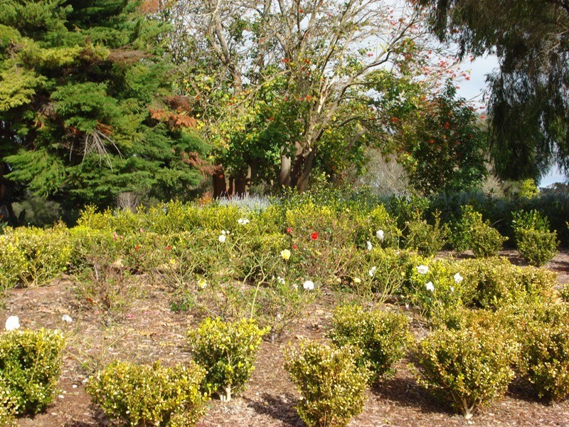 37 Oaks Drive, Vasse WA 6280