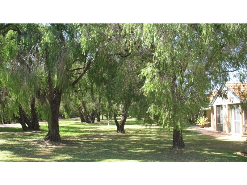 11/3 Dorset Street, Busselton WA 6280