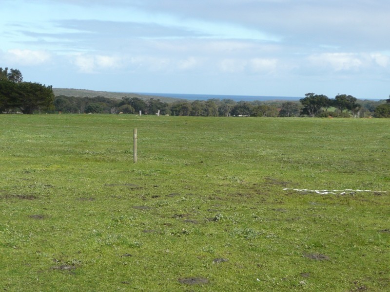 543 Redgate Road Redgate, Witchcliffe WA 6286