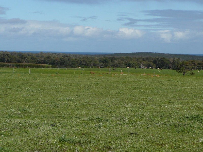 543 Redgate Road Redgate, Witchcliffe WA 6286