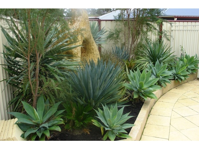 86 Lancaster Drive, West Busselton WA 6280