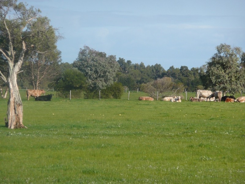 Ludlow WA 6280