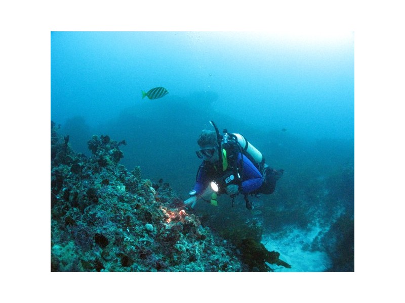 35/32 South Street, Busselton WA 6280