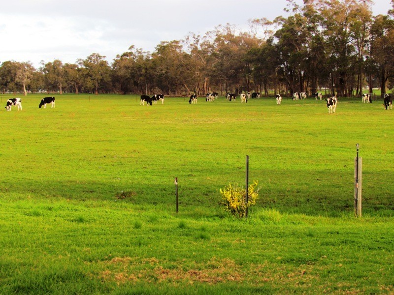 Crooked Brook WA 6236